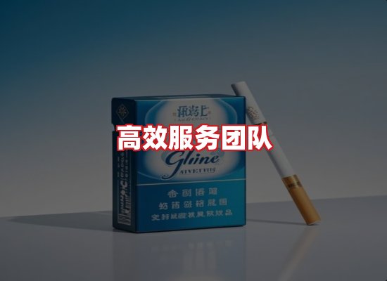 专业团队